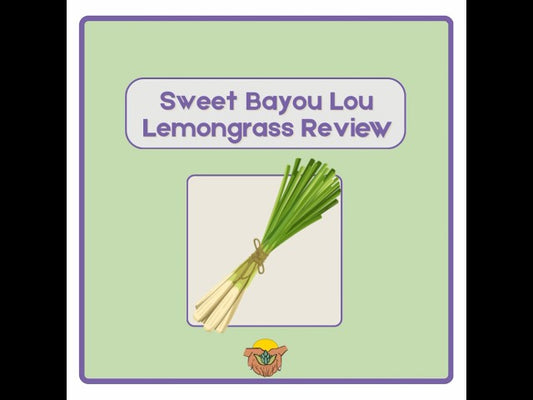Find Out What Lemongrass Can Do For You