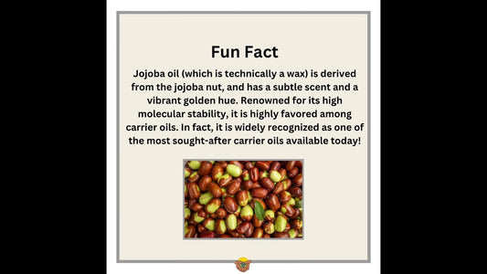 Find out why we LOVE (and use) Jojoba oil so much!!!
