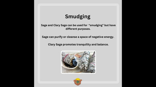 Sage or Clary Sage? What's the difference?