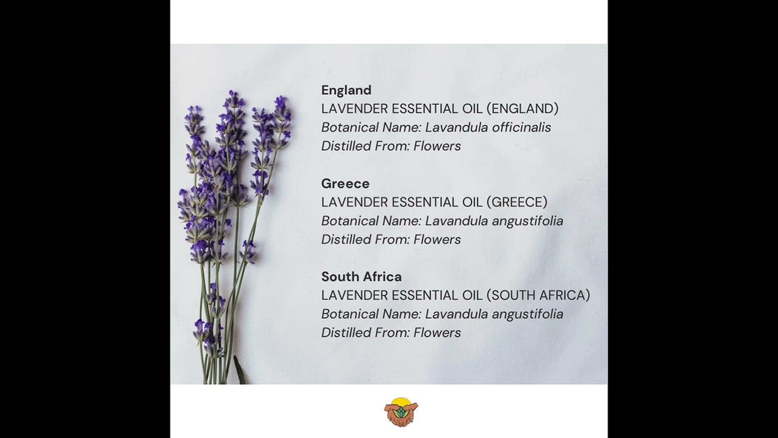 How Many Lavender Essential Oil Varieties Are There?