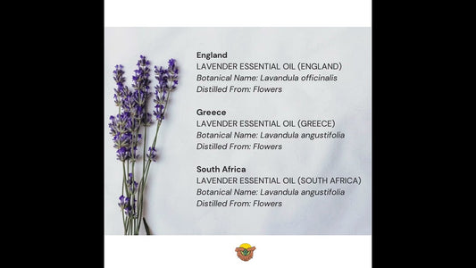 How Many Lavender Essential Oil Varieties Are There?
