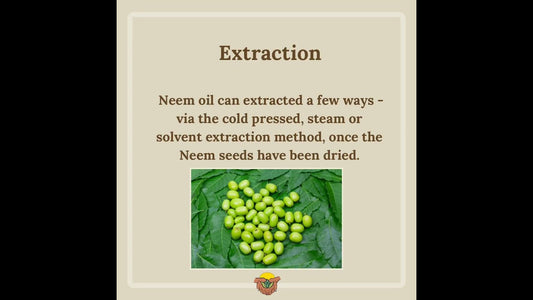 Nature's insecticide ~: Neem Oil