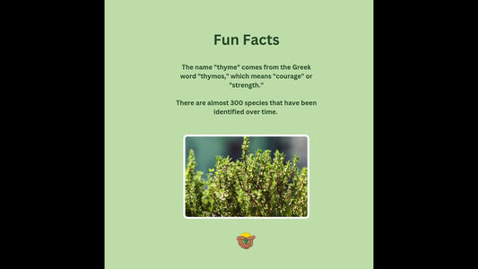 We are taking a little time to review.....well...thyme!