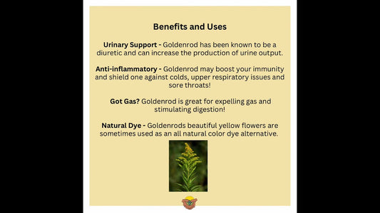 Goldenrod may be considered a weed but this plant has value!