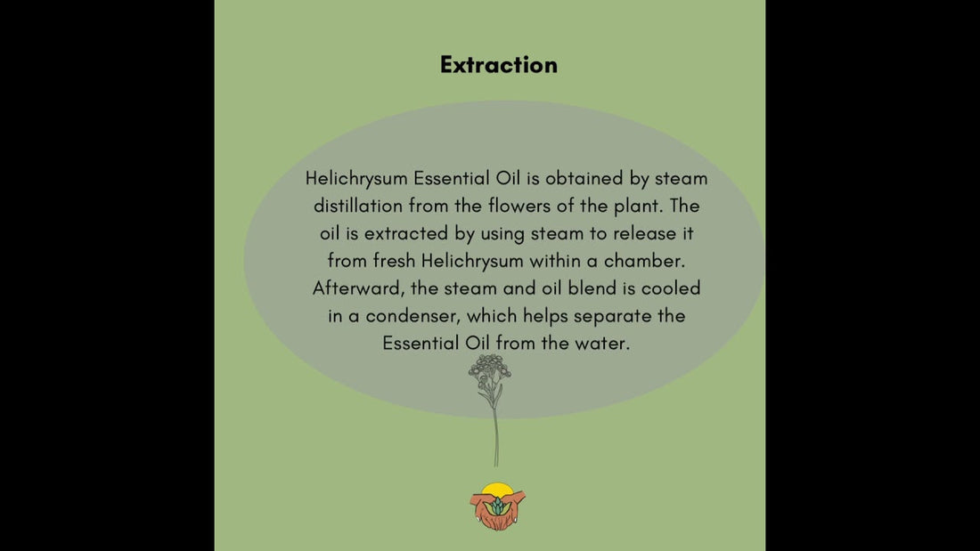You'll never guess why this essential oil is the most expensive one on the market!