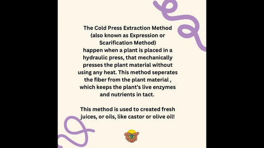 How are essential oils extracted from plants? Find out here!