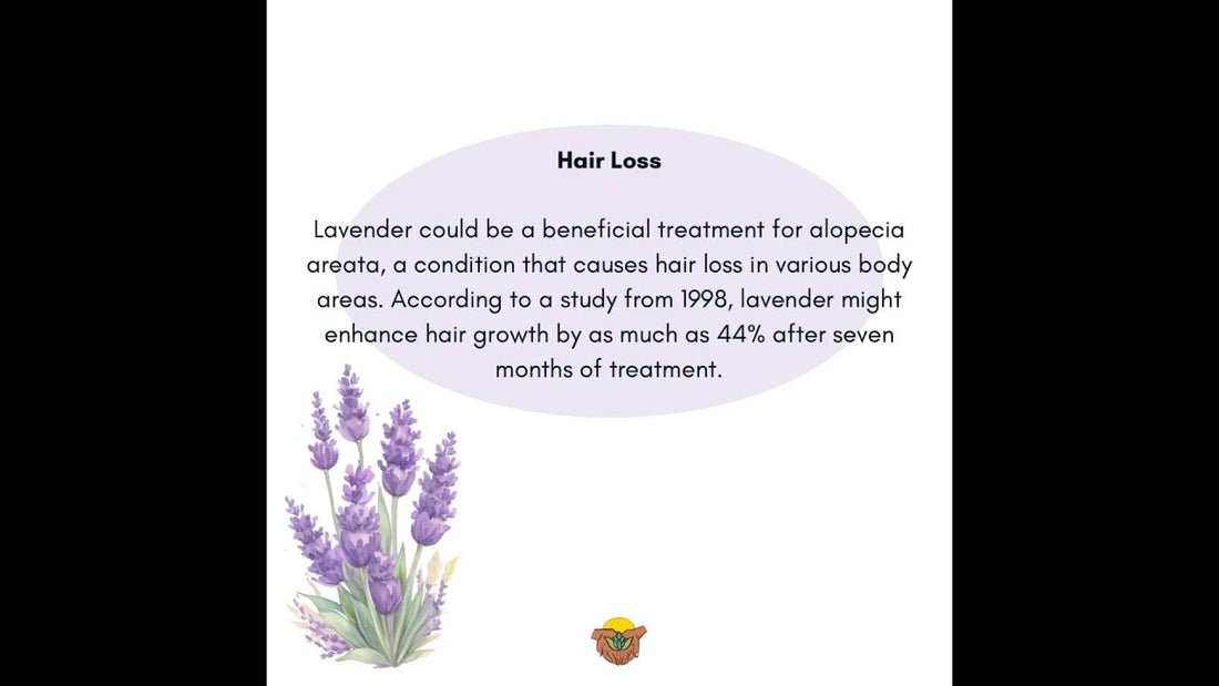 Sweet Bayou Lou Lavender Review